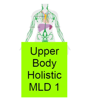 Upper Body Holistic MLD 1