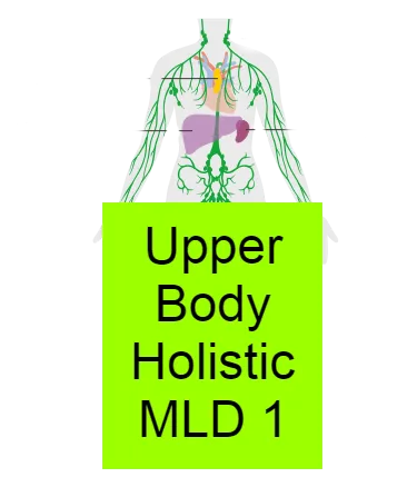 Upper Body Holistic MLD 1