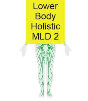 Lower Body Holistic MLD 2