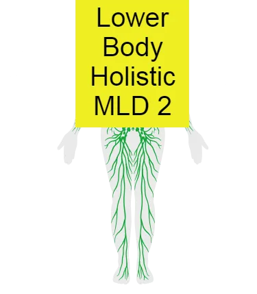 Lower Body Holistic MLD 2