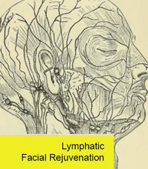 Lymphatic Facial Rejuvenation MLD 3